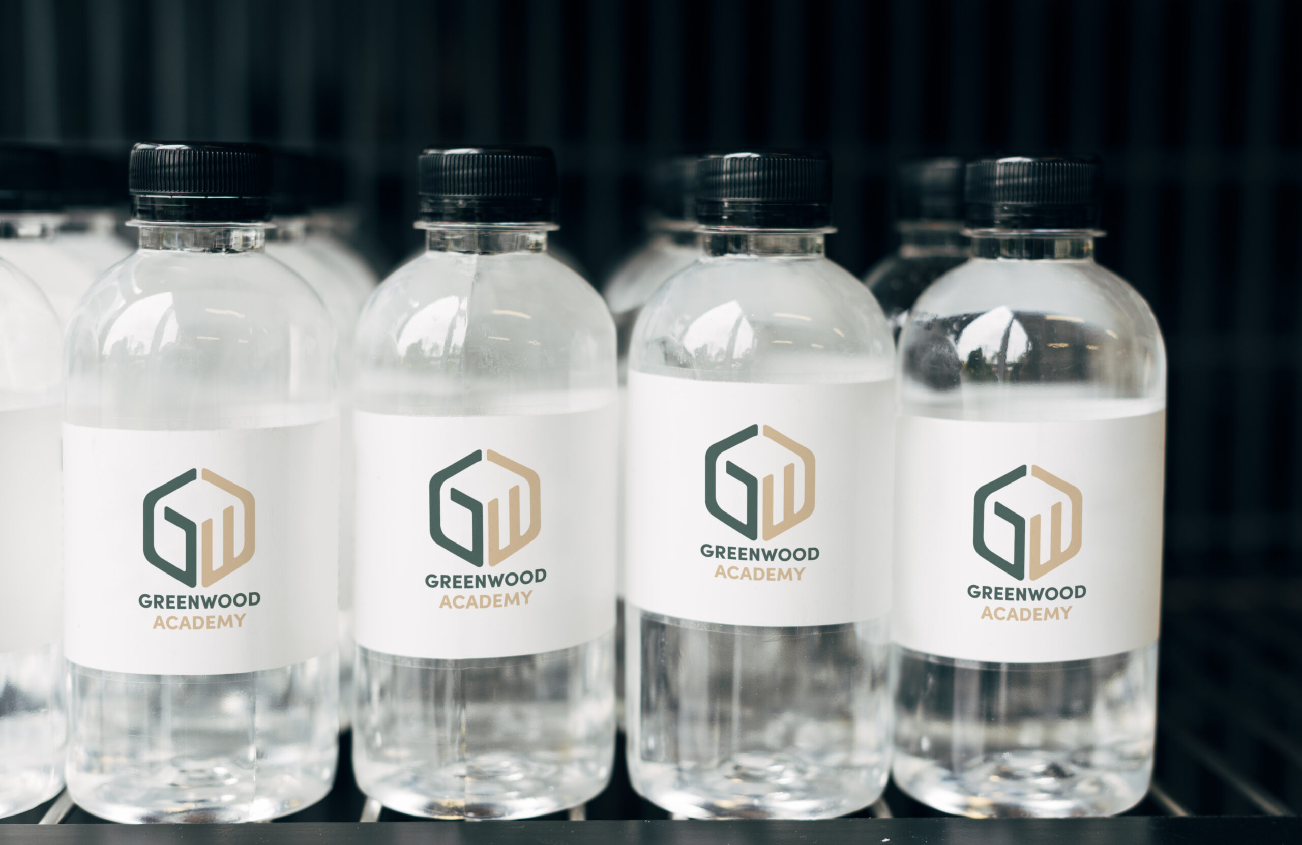 Mockup for mineral water bottles
